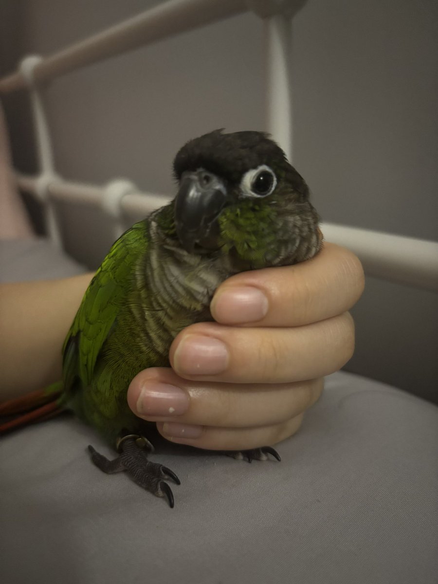 꼬소한 냄새 풍기시는 중