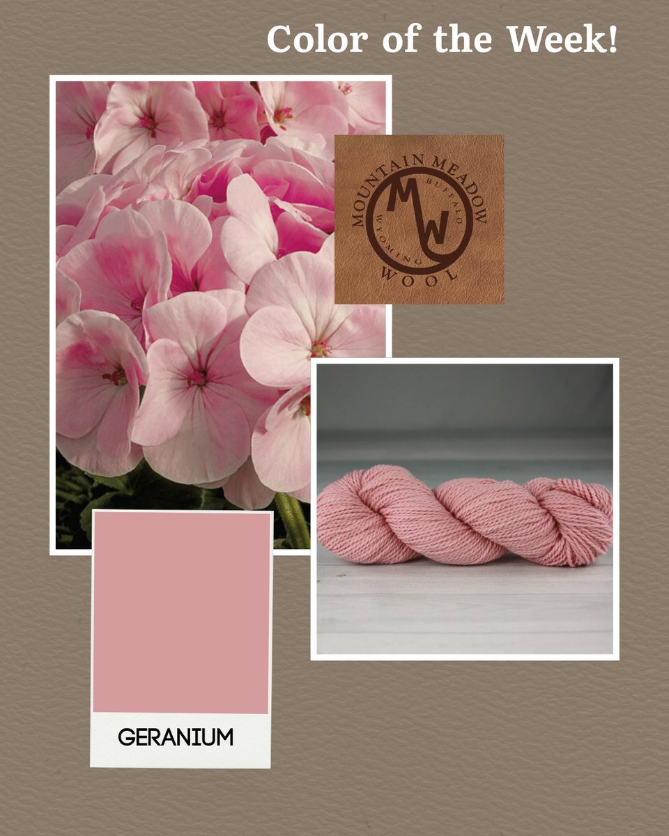 MtnMeadowWool's tweet image. 🧶✨ Color of the Week: Geranium ✨🧶 A soft, romantic light pink perfect for cozy baby blankets, delicate shawls, or adding blush to any project. Bring warmth and whimsy to every stitch! 🌷 #ColorOfTheWeek #MMW #Knitspiration #WearWool #KnittingAddict #YarnLove #BabyBlankets
