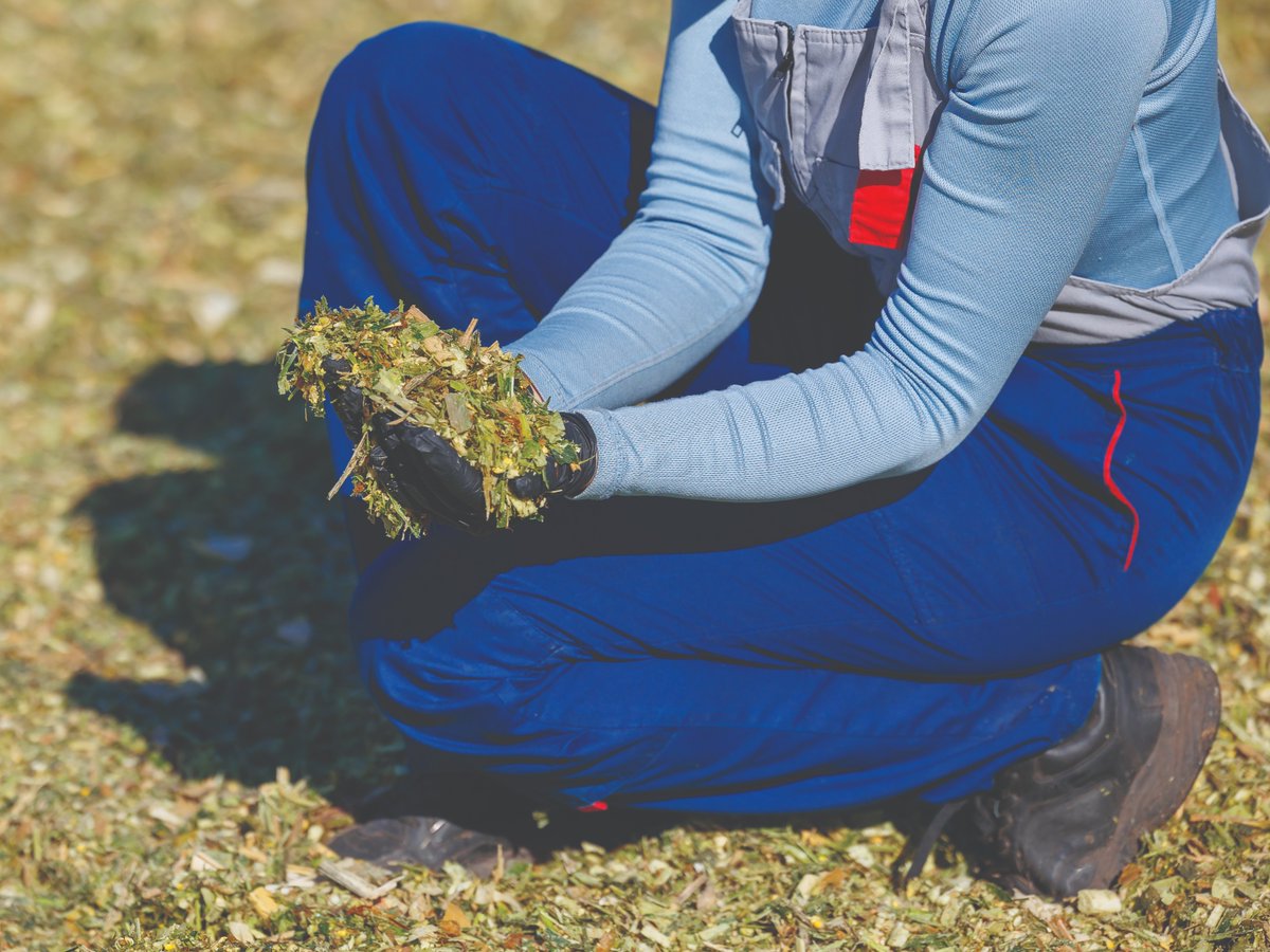 FSCooperatives's tweet image. From planting to feeding, #FSInVISION DairySelect is built to deliver. Tested hybrids + crop inputs + expert support = unmatched silage results.

Reach out to your local #FS Crop Specialist to order today!