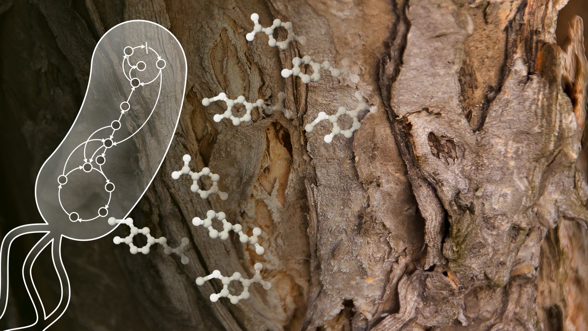 Aristilde Lab @ Northwestern Engineering tweet media