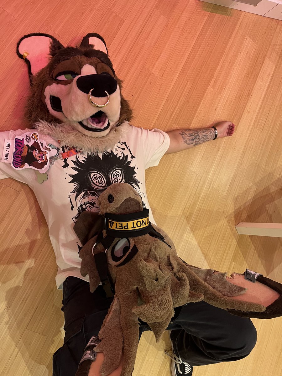 𝜏𝑜𝑟𝑜𝑖𝑑 🌈✨ tweet media