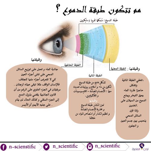 🔵 هذه أحد علامات جفاف العين 
بتقولي كيف جفاف يادكتور وفيه فائض دموع ؟ 

دموع العين تتكون من عدة طبقات ، مخاط وماء ودهون 
🔺الطبقة الخارجية هي الدهون وهي مهمة لمنع سرعة تبخر الدموع وكذلك حفظها على سطح العين 
🔺هذه الدهون تفرز من غدد خاصة ولها مسامات موجودة على الجفون 
 🔺اذا حصل