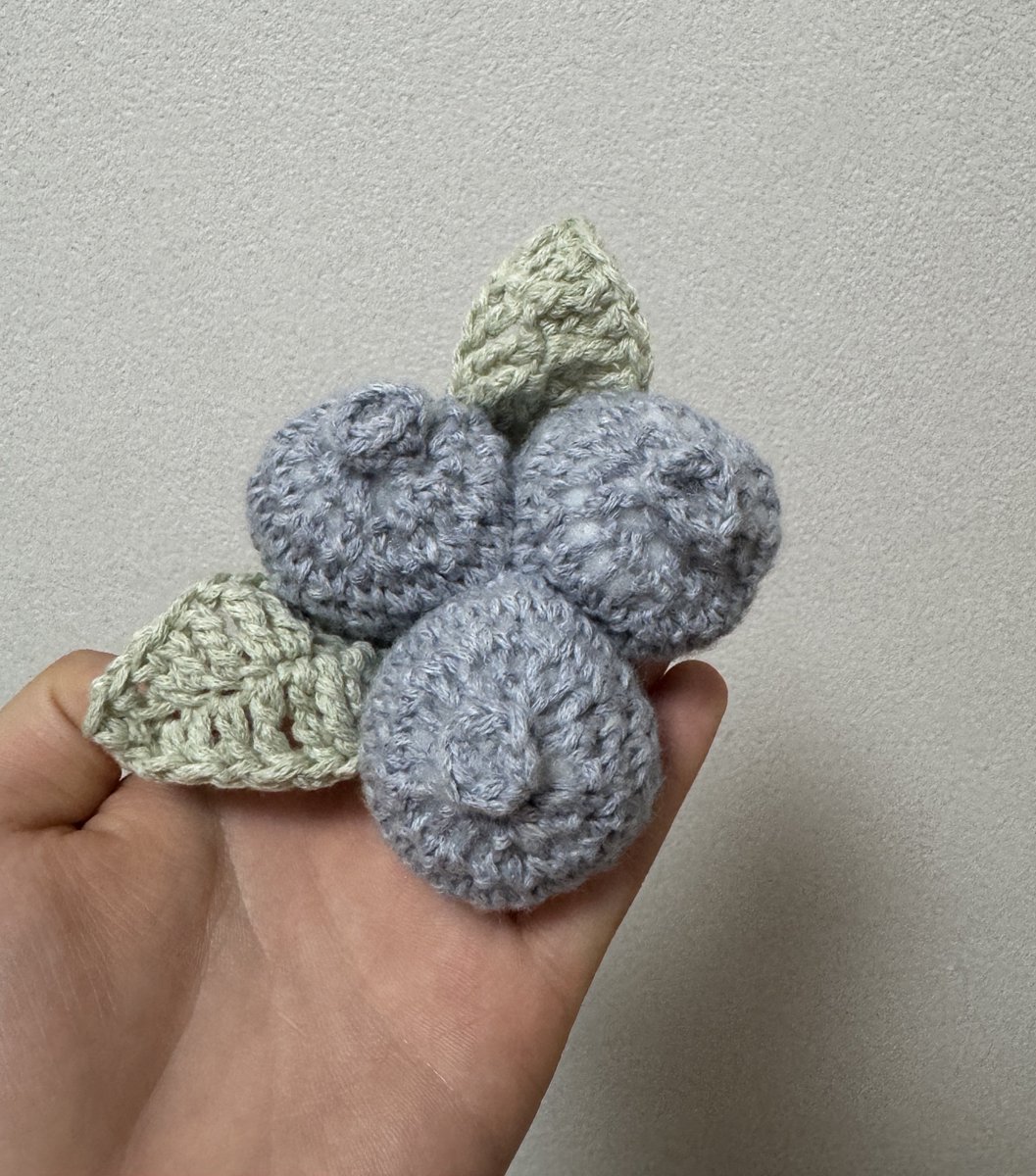 emine..✿オーダー受付中✩.*˚   モチーフ  かぎ編み 🩶🍎✨ ↓ @ami_keito1 #かぎ針編み #編み物 #タム帽 #タムベレー