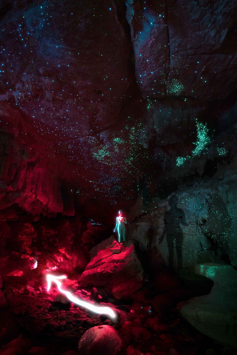 cathsimard_'s tweet image. The Allegory Of The Cave has just won this 6529 meme card's round!

I want to thank 6529 and everyone who has contributed to building this ecosystem. I believe that the project has become one of the best places to build community and collect. This collection is a real-time…