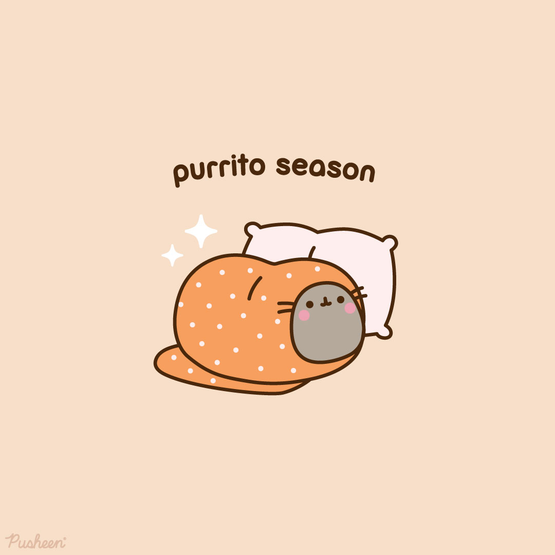 Pusheen the cat (@pusheen) on Twitter photo 