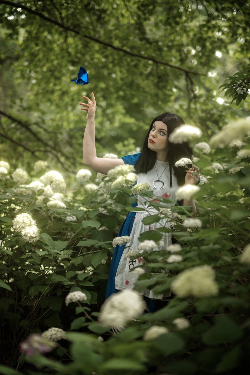 TuxFotografie's tweet photo. Dr. Angus Bumby: Come now, Alice, it's only a dream. Alice Liddell: It's not a dream, it's... a memory. And it makes me sick!
. 
Alice:  (IG) hana_jsakura  
Photo+edit:@TuxFotografie 
.
[Hashtags to ignore]
#alicemadnessreturns #germancosplayer #americanmcgeesalicecosplay https://t.co/WK5goPzdOz