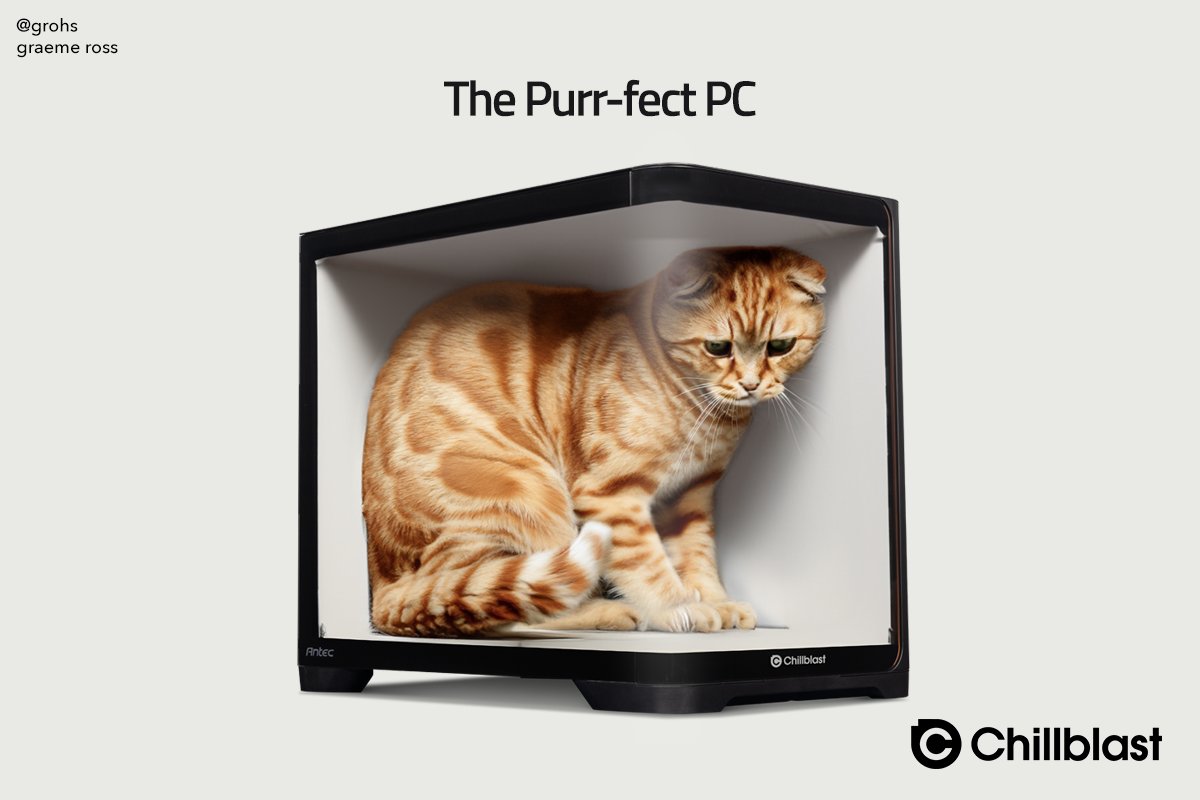 𝙶𝚛𝚊𝚎𝚖𝚎 tweet media