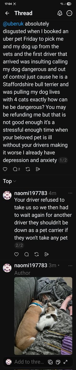 Naomi 💛 tweet media