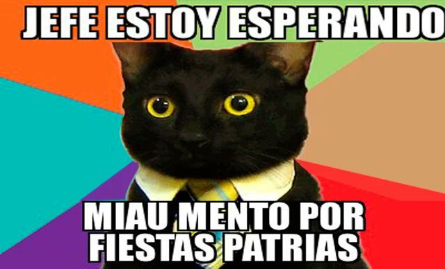 knasta_cl's tweet photo. le prometo ser su mejor elemento🫡 https://t.co/qMFinpwufQ