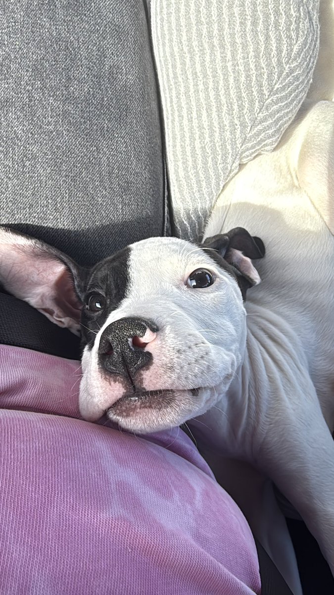 got beans a little dopey mate x