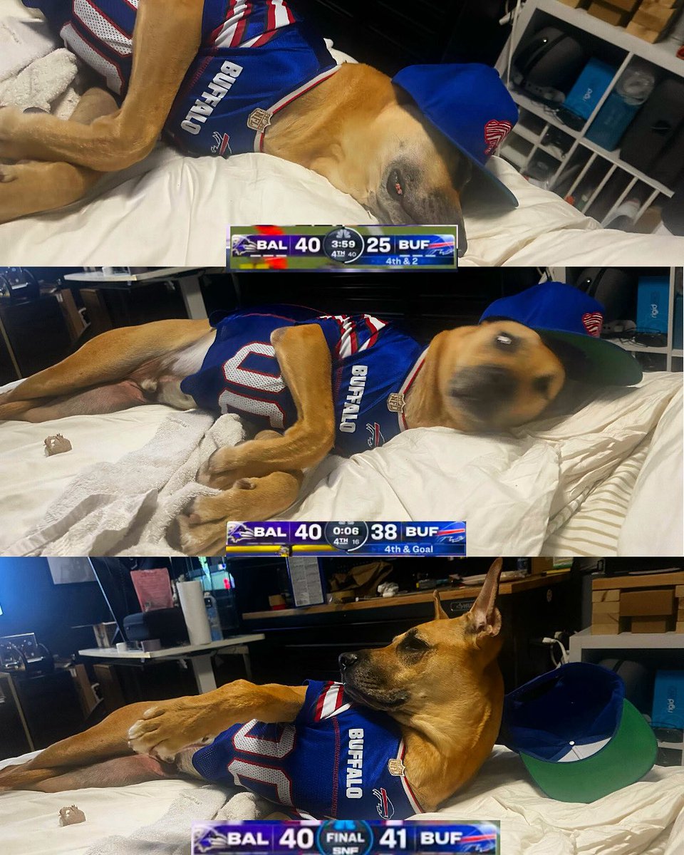 gatsby’s <a href="/BuffaloBills/">Buffalo Bills</a> viewing experience. #BillsMafia for this little guy 💙❤️