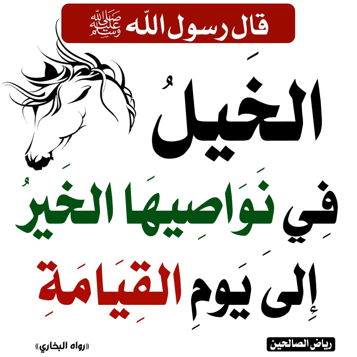 <a href="/almedan8/">عايض البقمي</a> قال رسول الله صلى الله عليه وسلم