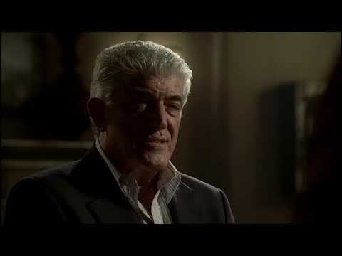 I wanted a cat. I compromised, I got 500 centipedes