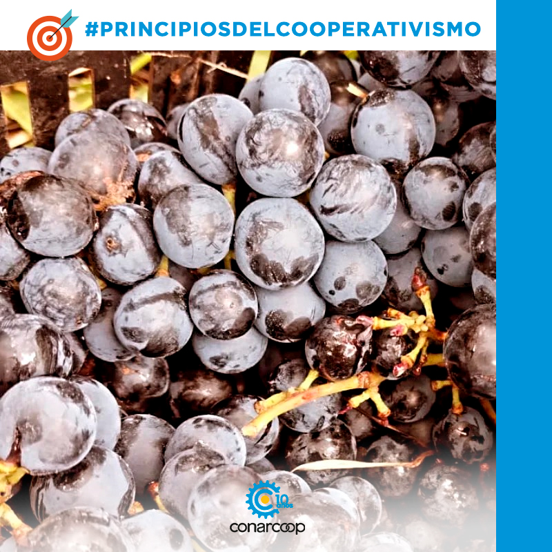 conarcoop's tweet image. El cooperativismo propone una economía sostenible que garantice el desarrollo colectivo y la igualdad ⚖️.
Trabajamos por un modelo que ponga en el centro a las personas y no al capital.
.
.
.
#EconomíaSolidaria #Cooperativas #Conarcoop