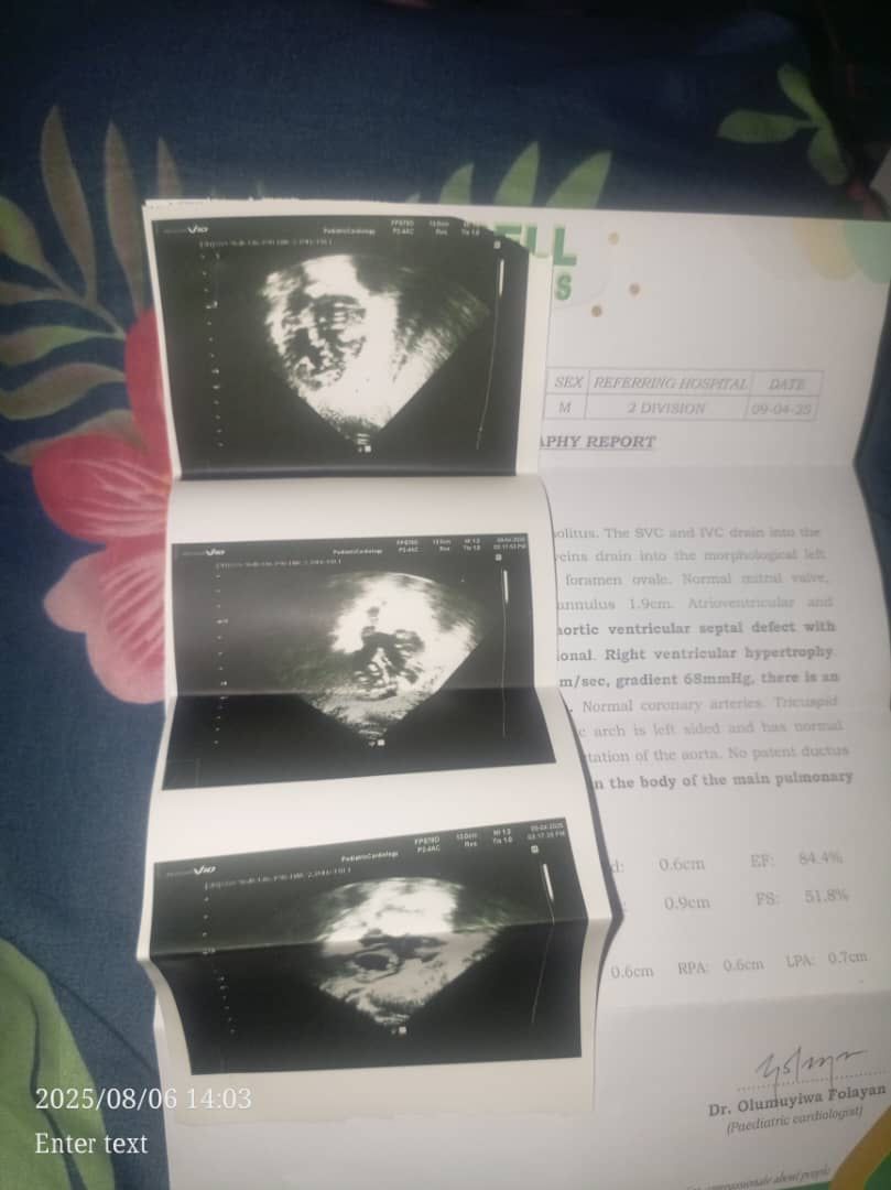 Daughter of Zion tweet media