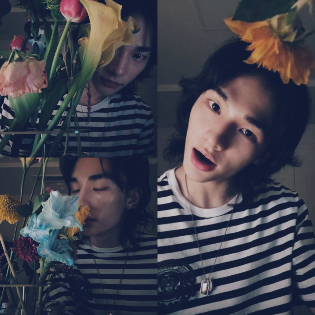 hxnjxnnnn's tweet image. Equivalent to every flower on this planet combined