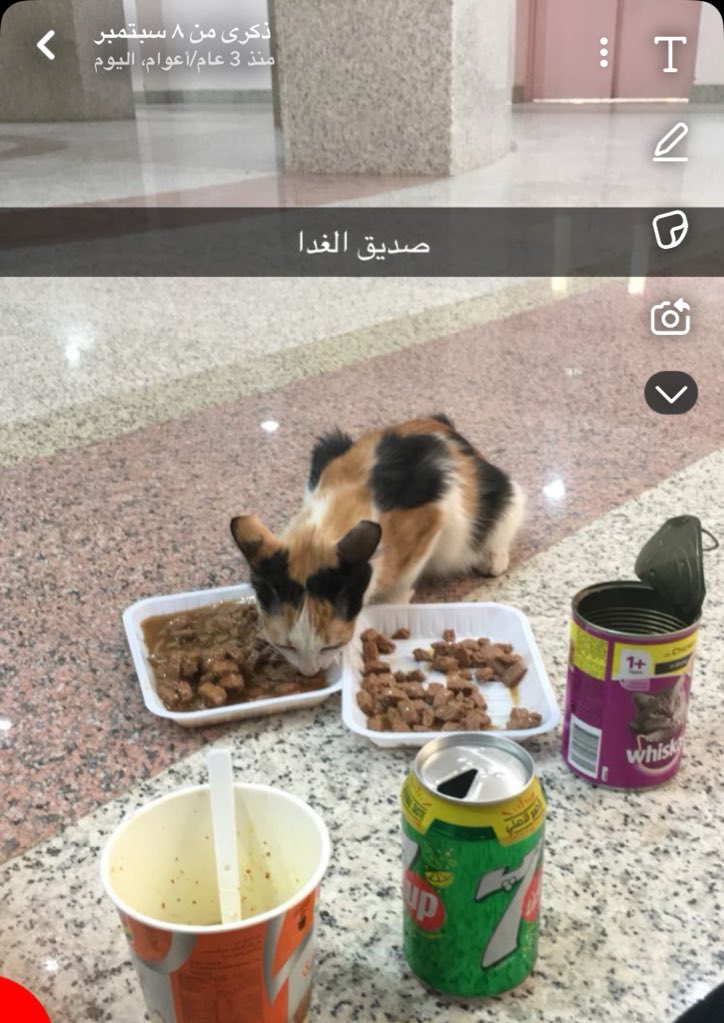 صداقاتي في الجامعة