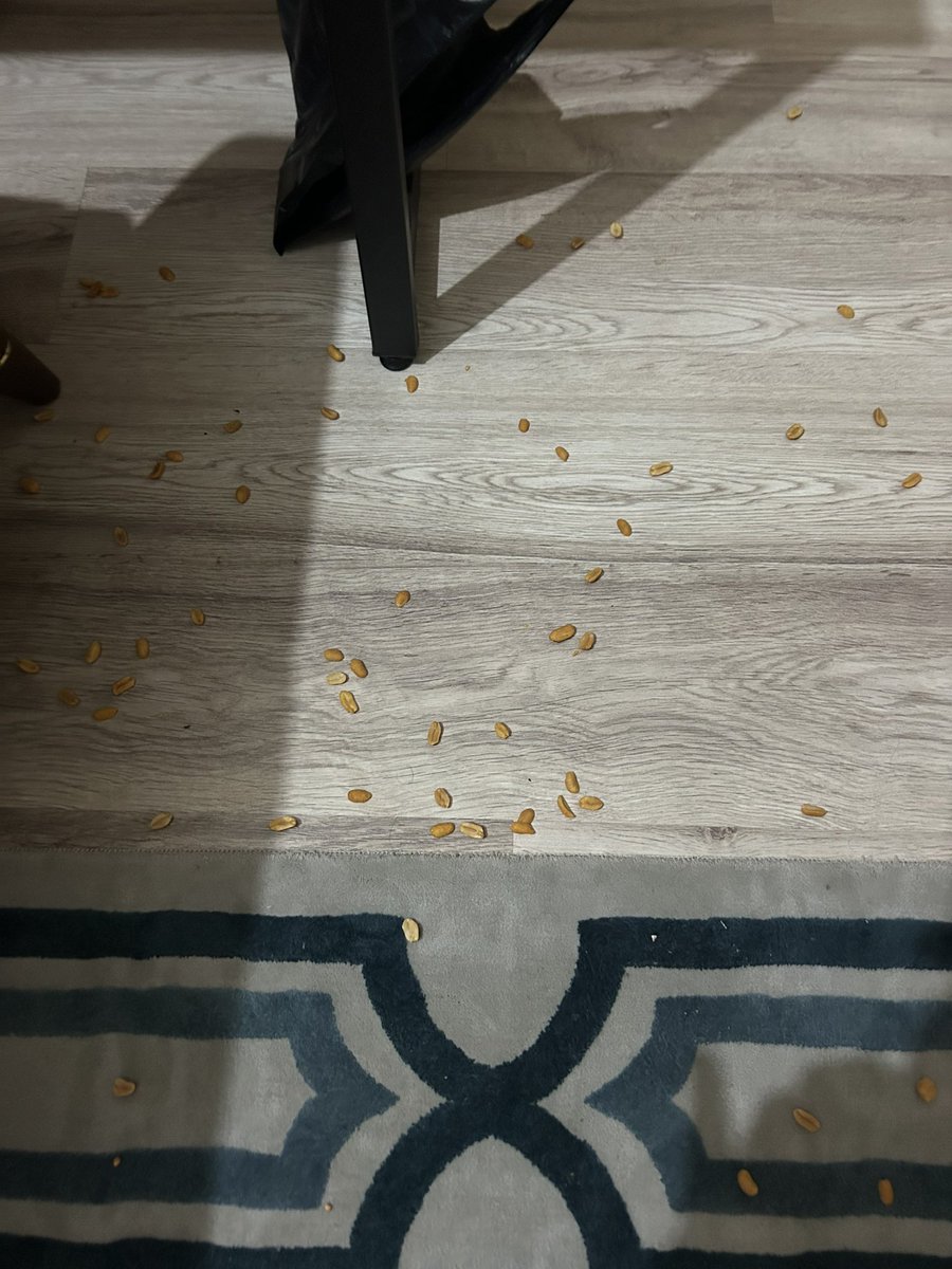 Selam fıstıklar 😗