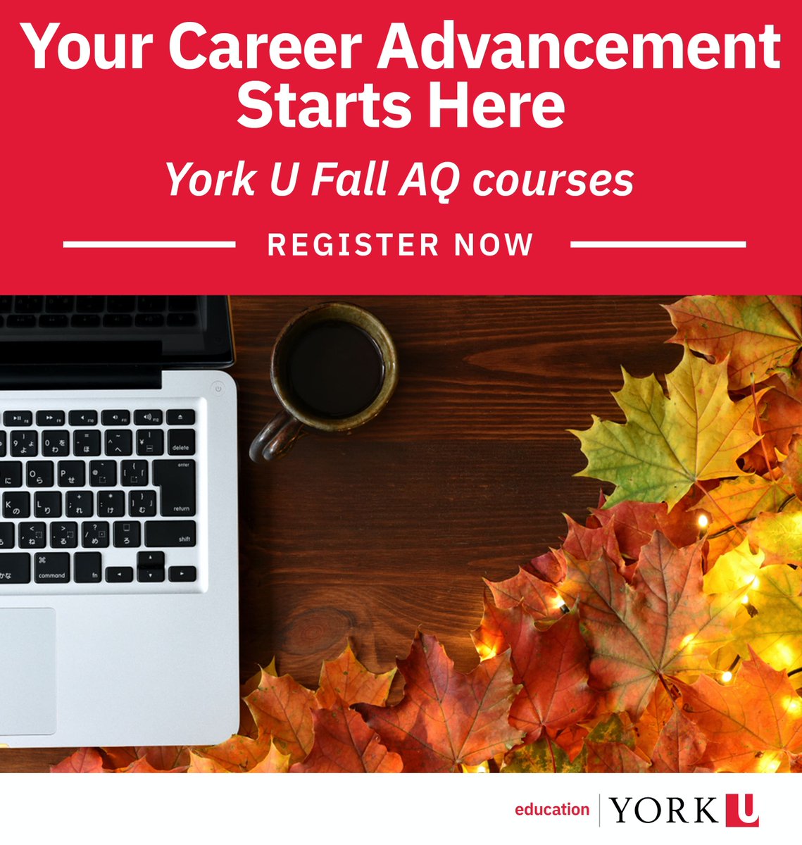 Ready to grow as an educator? 📚✨
York U Education’s Fall AQ, ABQ &amp; PQP courses run Oct 7–Dec 12, 2025.

🗓 Register by Sept 30 (online, instructor-led &amp; asynchronous).

Learn. Lead. Inspire.
👉 bit.ly/4nb6PN2