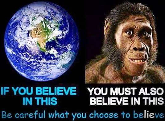 ✅ألم تر ان الله يسجد له من في السماوات ومن في الأرض والشمس والقمر والنجوم والجبال والشجر والدواب وكثير من الناس،.س الحج

الشمس والقمر والنجوم (في السماء)
الجبال والشجر والدواب وكثير من الناس (في الأرض)

✅إِنَّا زیَّنَّا ٱلسَّماء الدُّنۡیَا بِزِینَةٍ ٱلۡكَواكِبِ

بل عجبت ويسخرون