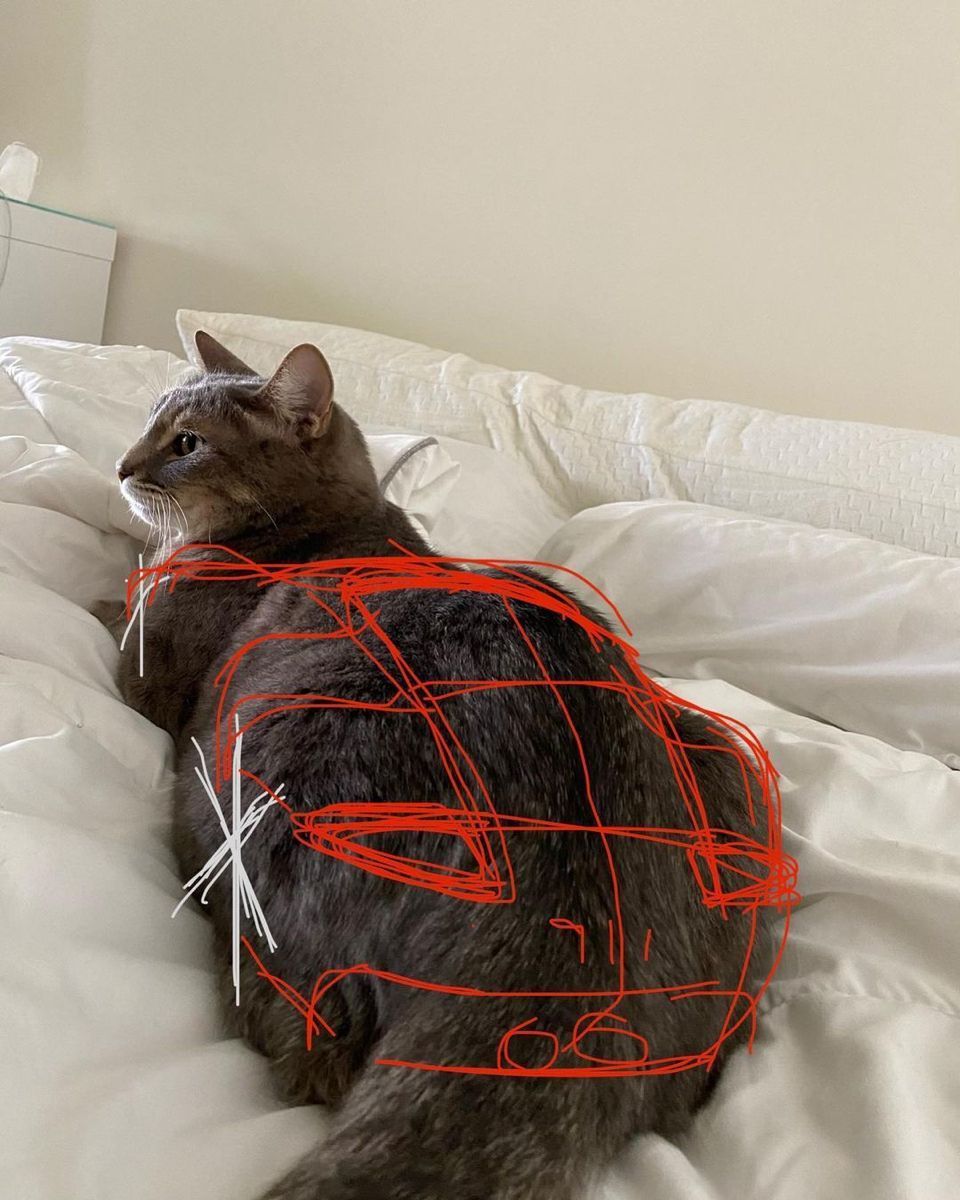 MOTORFORMS 🏁 (@motorforms) on Twitter photo 