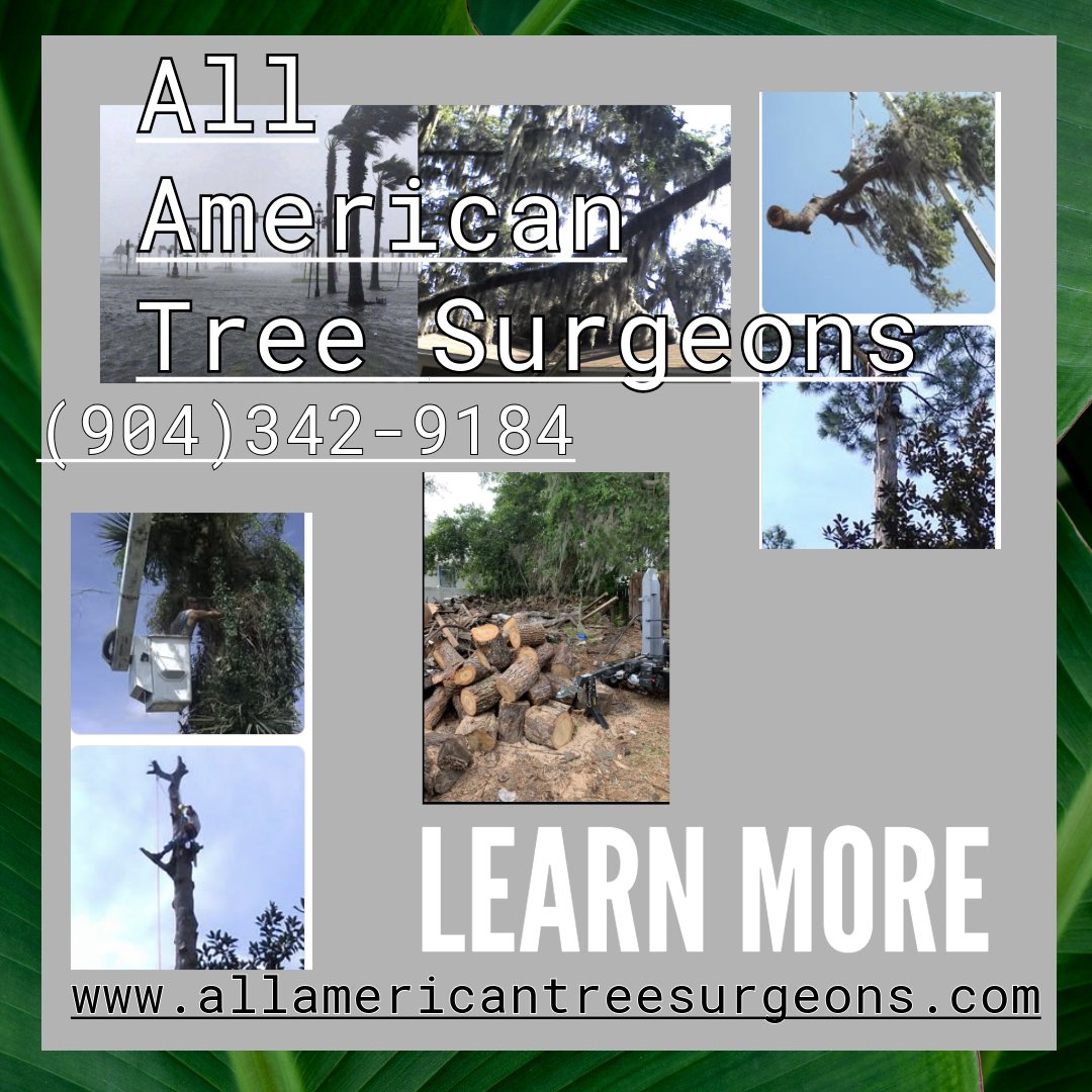 TreeShane's tweet image. All American Tree Surgeons offers comprehensive tree services, including:
Tree Removal
Tree Trimming &amp;amp; Climbing
Debris Hauling
Land Clearing
 Contact us at (904) 342-9184 for a FREE ESTIMATE, or visit allamericantreesurgeons.com for additional details.