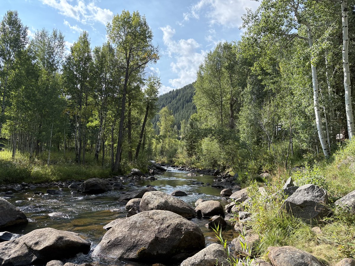 Hello, Aspen. 🌳 we’ve missed you …….