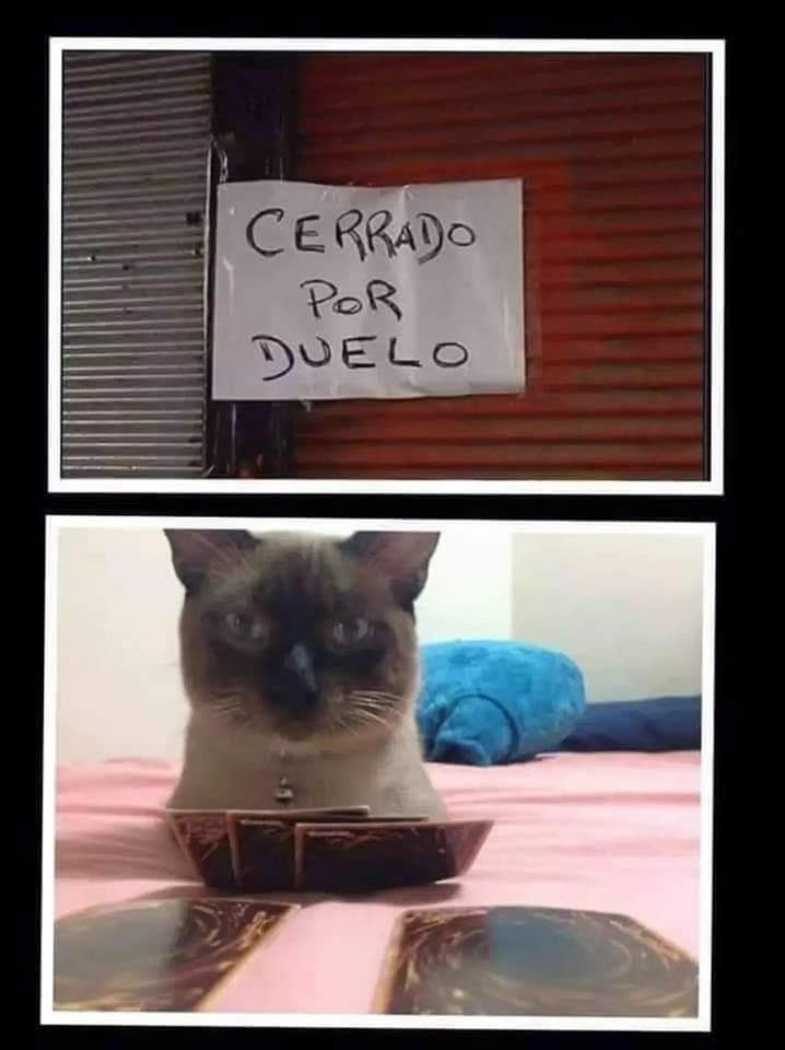 Contenido: Memes de Dioses (@contenidomemes) on Twitter photo 