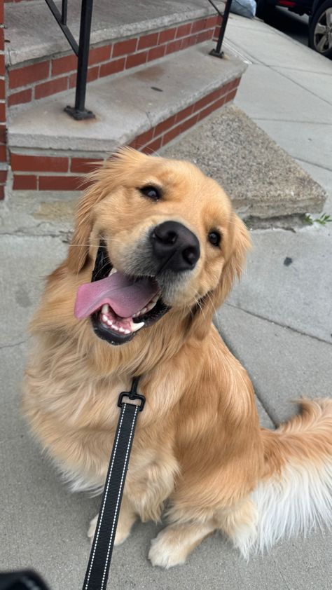 ElizabethLibson's tweet image. 