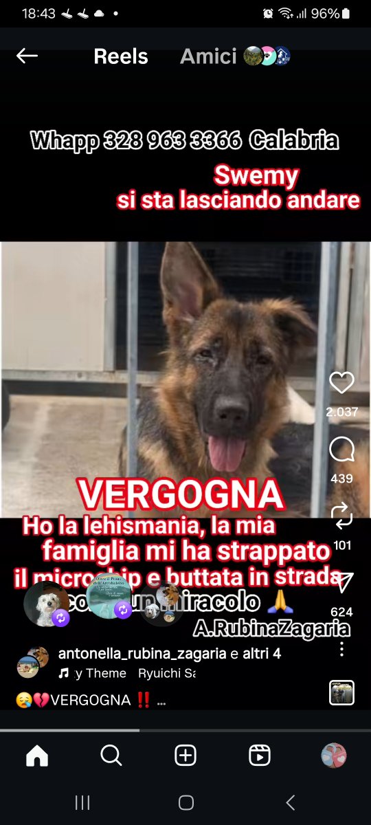 Annina🇮🇹 (@annina_cutillo) on Twitter photo 