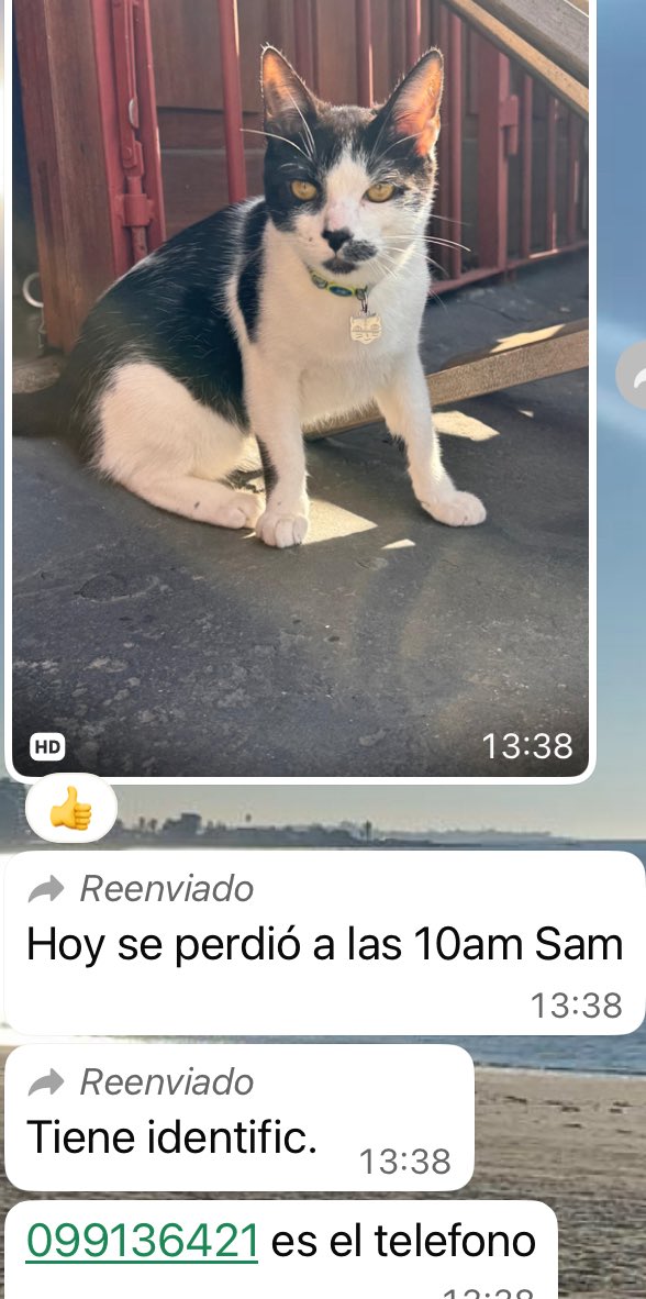 Se perdió , zona parque Batlle