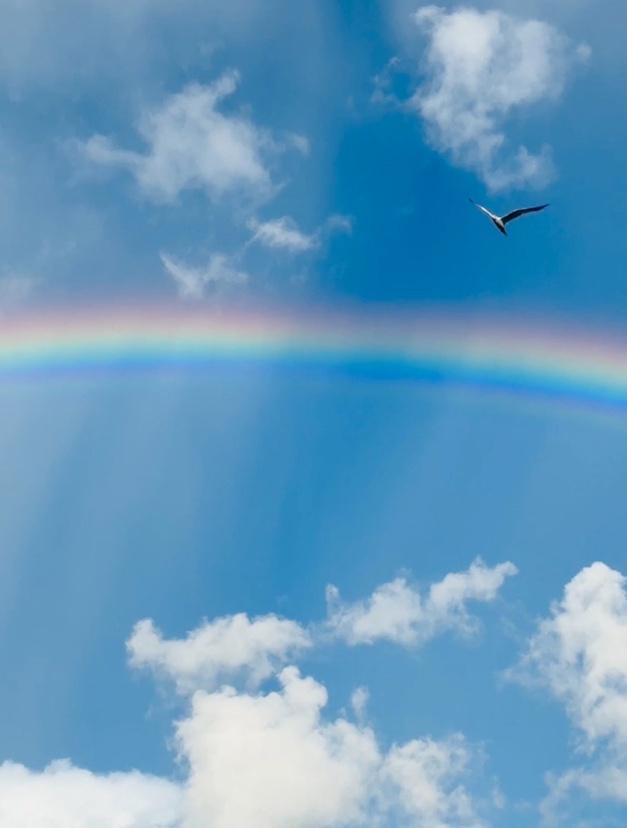 chartnavitas's tweet image. Leading When Hope Feels Lost

Every leader hits moments when hope flickers—when the path is uncertain, the pressure relentless, and the summit feels out of reach.

What separates resilient leaders is not that they never lose hope, but that they know how to restore it. At…