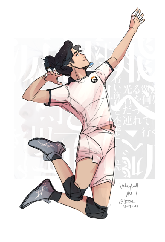 leekoii_'s tweet photo. i like Haikyuu. i like Wuyang. 
飛べfly high!

#Overwatch2 #Overwatch2fanart https://t.co/WJOMxUelpC