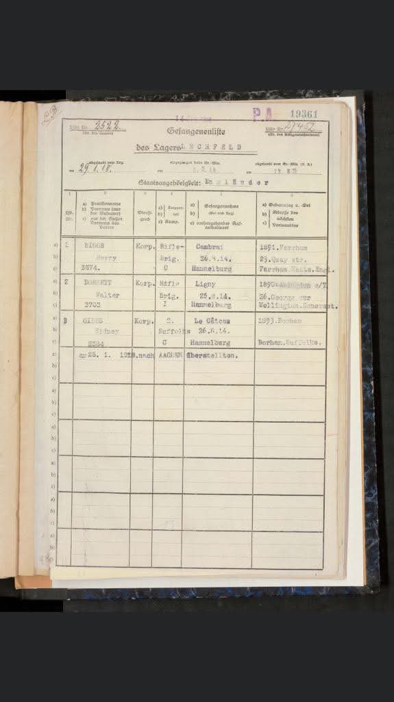 Stephen Gibbs tweet media