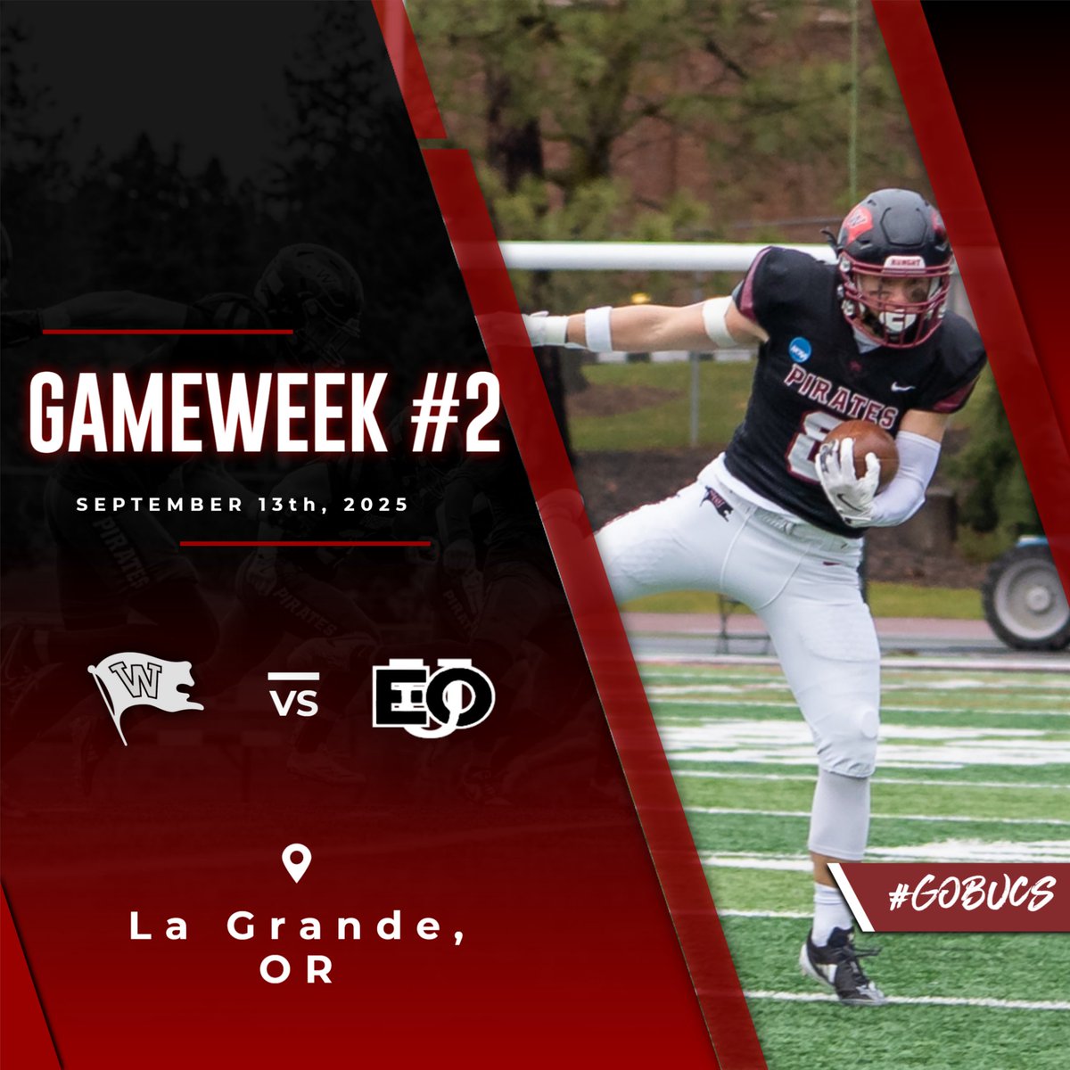 Onto the next! Week #2!