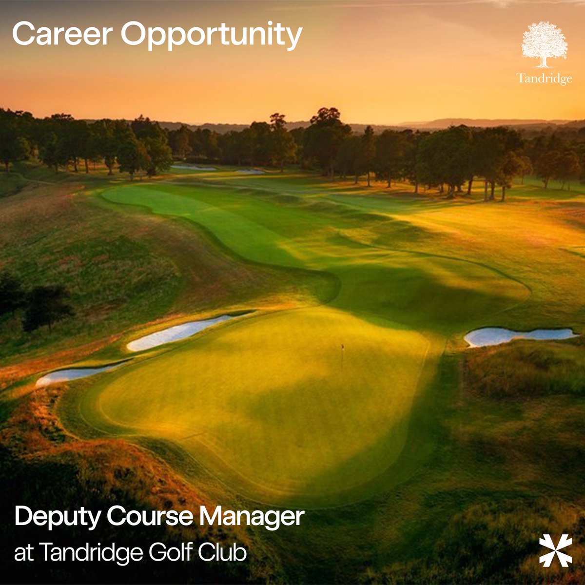Career Opportunity - Deputy Course Manager, Tandridge Golf Club

coltmm.com/opportunities/…