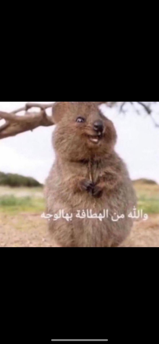 الحين يجي السنابي هذاك ويوقف مع الفسيخي ويدعم صاحب المحل