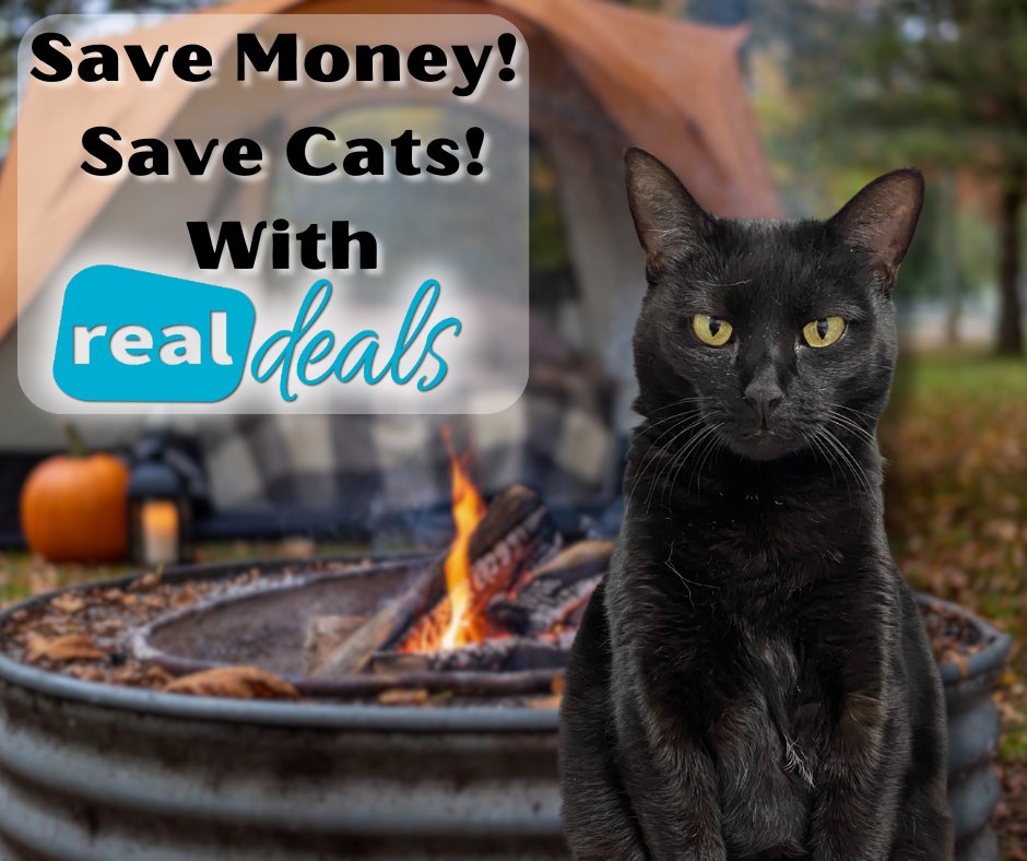 Are you looking for a way to enjoy amazing deals on vacations, dining, and more, while also helping blind, FIV, &amp; FeLV+ cats? Look no further than Real Deals for Rescues! Thanks so much for your consideration!  🐱 💙
Visit our link to learn more: realdealsforrescues.com/registerbcr.php