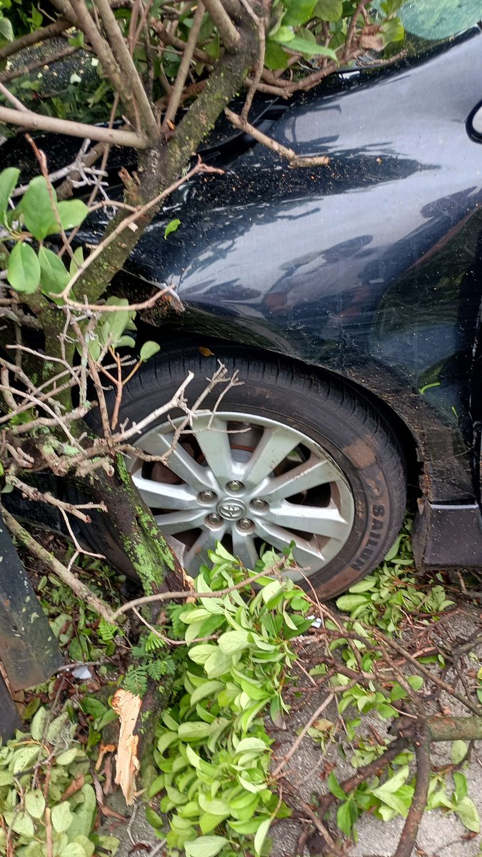 GeekOutHangout's tweet image. I had a car accident today and the car is probably totaled I don&apos;t know, they wouldn&apos;t let me really look at it. So I now have to no car, and no way to pick up Zoya from school. Her dad needless to say it&apos;s upset with me and which is understandable.