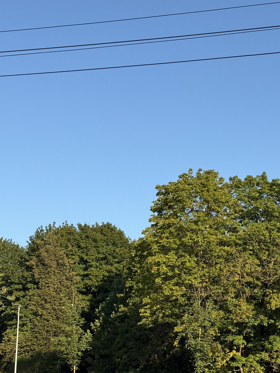 today's postcards as i continue to look up