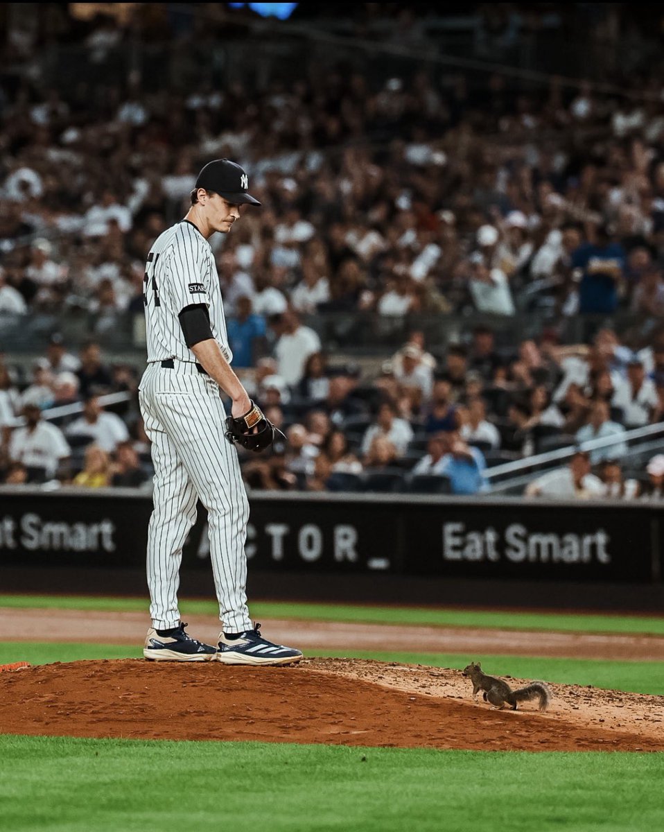 Max Fried, since befriending a squirrel:

⚾️ 27 IP
⚾️3-0
⚾️1.67 ERA
⚾️2.7% barrel rate
⚾️33.8% hard hit rate

Max has also pitched 7 IP three straight times since that night. He has been incredibly clutch for the Yankees, even with all the time he spends with woodland creatures.