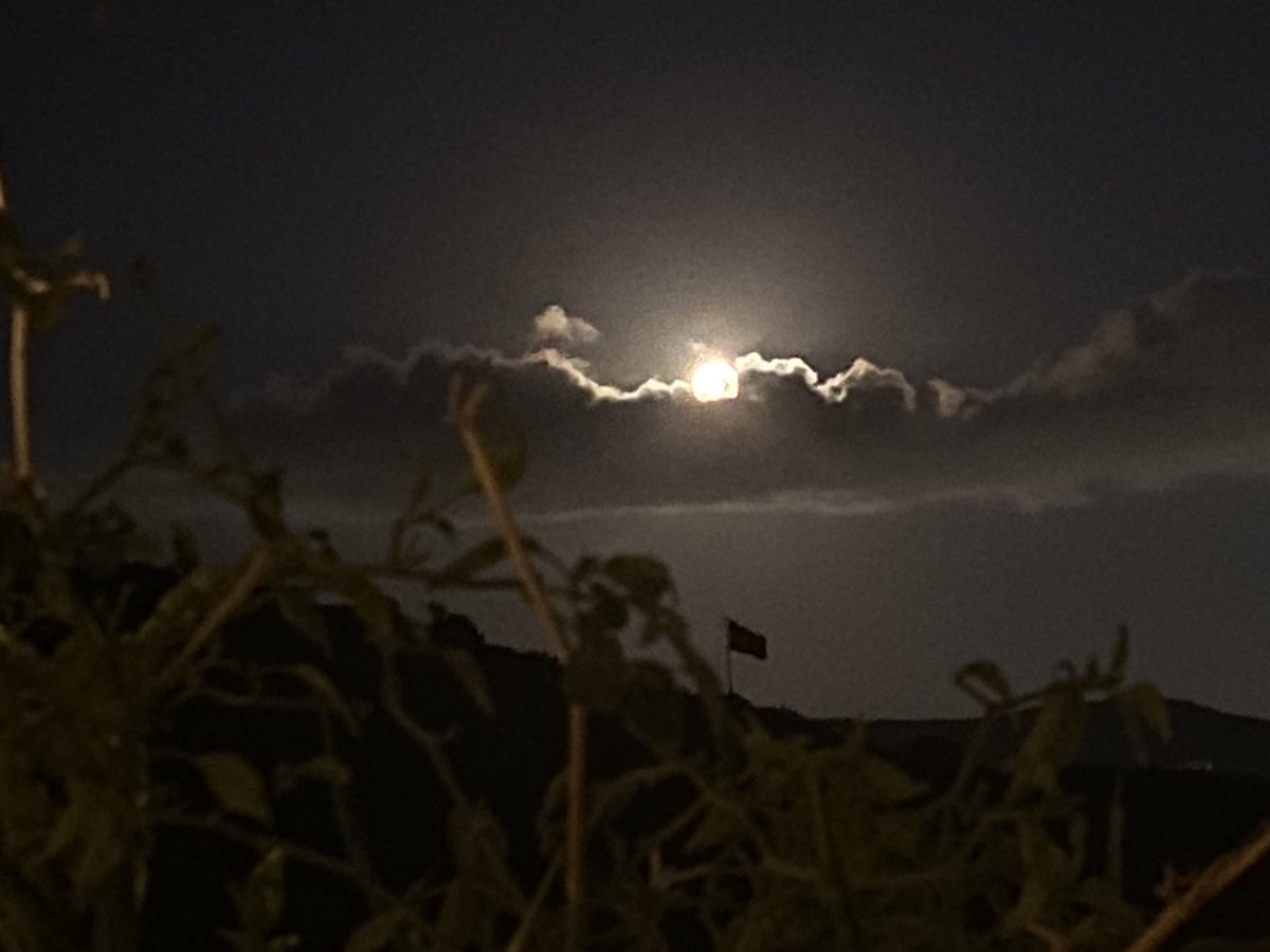 Sen nasıl bir dolunaysın acaba mükemmel bir büyüklük var ay çok yakın bu kadar büyük görmemiştim 🙃