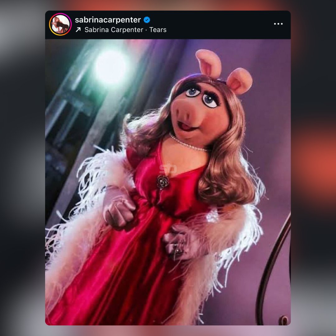 SeriesBrasil's tweet image. CRONICAMENTE ONLINE! Sabrina Carpenter via Instagram.