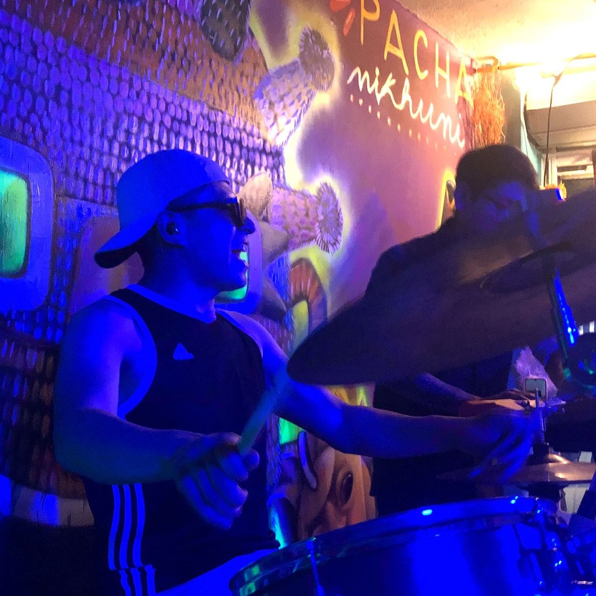 Monkey Roots tweet media