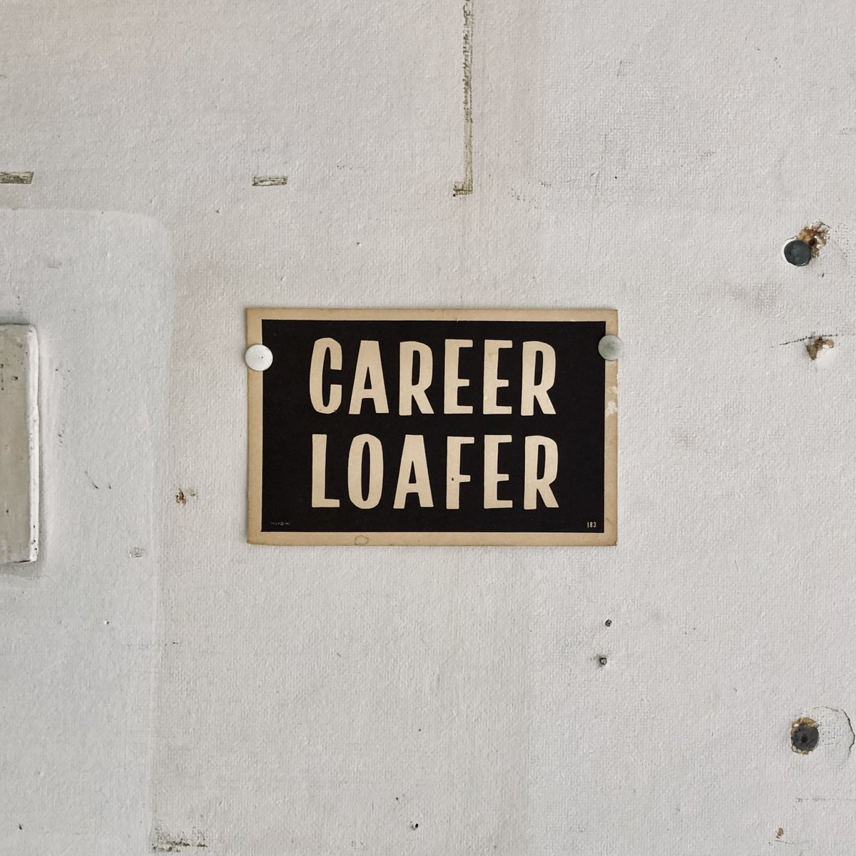 Common Name tweet media