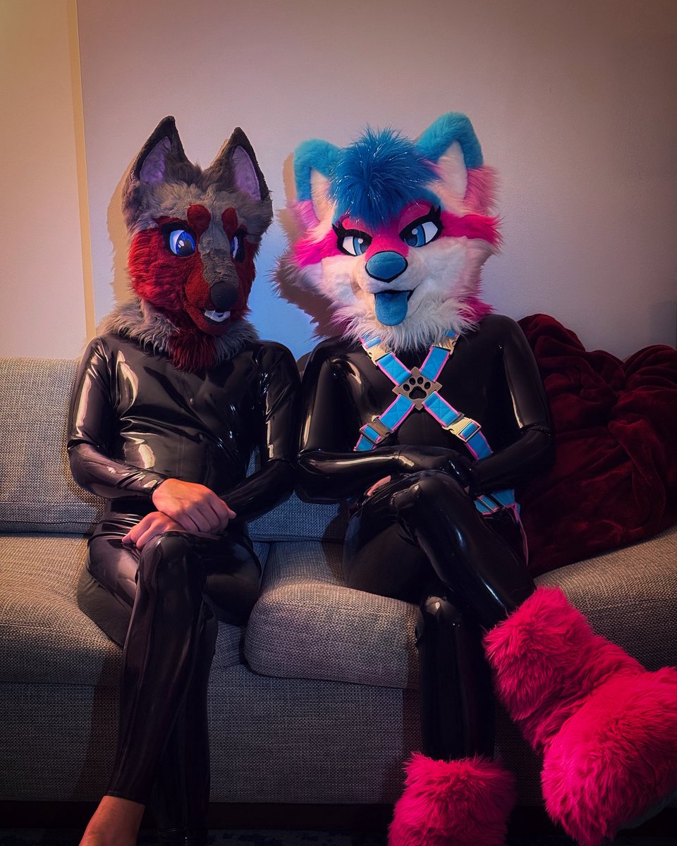 Jaeger πFWA, AC (@yapyote) on Twitter photo It seems 2 shiny critters have spotted ya
π¦<a href="/ShinzuFoxx/">Shinzu π MFF</a>
πΈ<a href="/cacklemaw/">knot your average jackal</a> It seems 2 shiny critters have spotted ya
π¦<a href="/ShinzuFoxx/">Shinzu π MFF</a>
πΈ<a href="/cacklemaw/">knot your average jackal</a>
