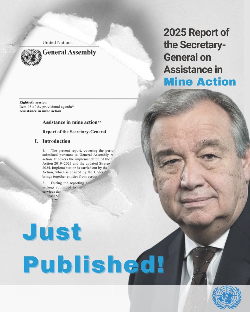 United Nations Mine Action Service (UNMAS) tweet media