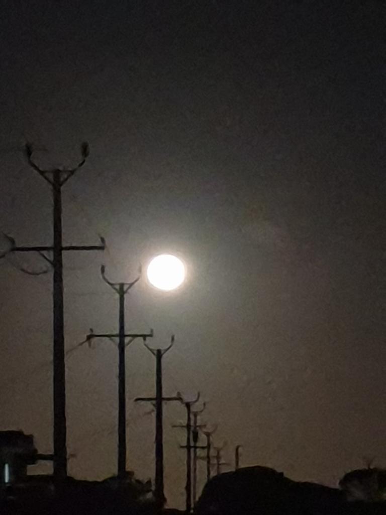 heltweet's tweet image. Good morning
#DailyWordleClub
#TalkingTuesday
Fast 3
Elimination works again
Good luck
#Osprey and a pair of running #rabbits at breakfast
Heavy dew overnight
Rain expected
#Stretch
#Walk
#breathe
#Wordle1543 3/6
⬛⬛⬛⬛⬛🕊
⬛🟨⬛⬛🟨🌱
🟩🟩🟩🟩🟩💃
Moonrise
Breakfast view