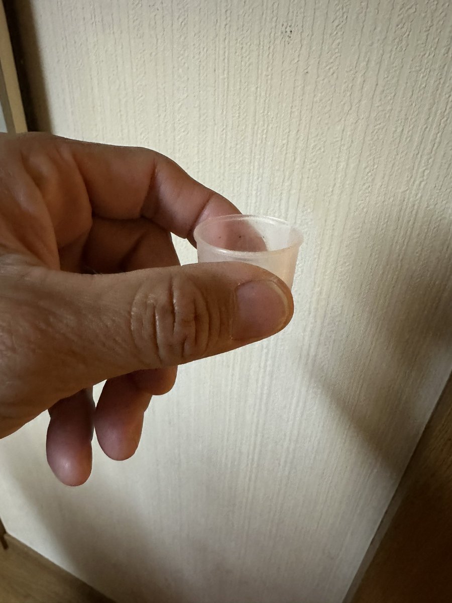 ＃Twitter断酒部
おはよう御座います😃嫌酒薬シアナマイド服用オッケー👌断酒1155日の朝☀️今日は大阪2件です〜頑張って来ます😉