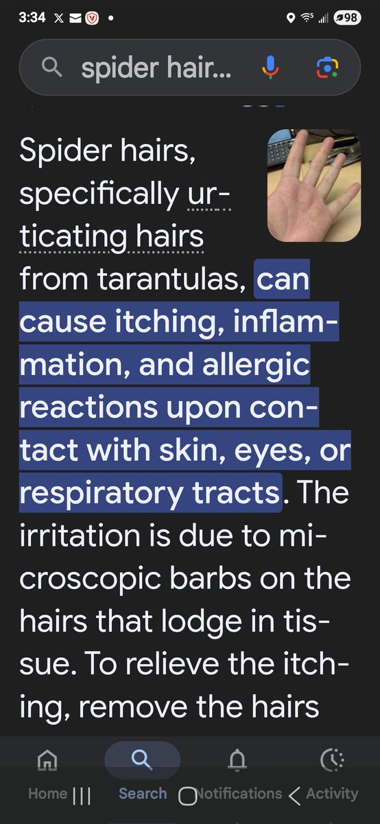 BunnieKat1962's tweet image. Look it at the pretty spider! Don't you want to pet it? Don't do it! Spiders hair can make you itchy! Just so you know! 
#Spiders